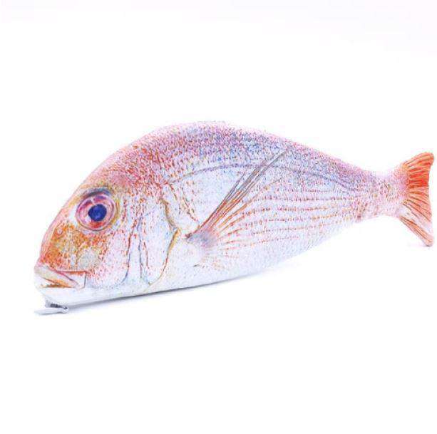 Fish Shape Pencil Case | Aesthetic Pencil Case
