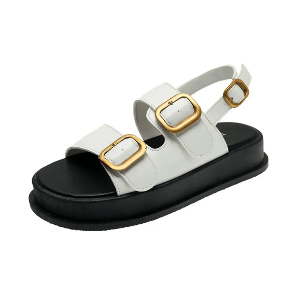 Buckle Platform Sandals | Aesthetic Shoes