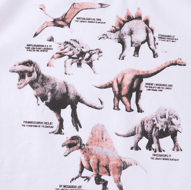 Age Of Dinosaurs Tee | Aesthetic Clothing