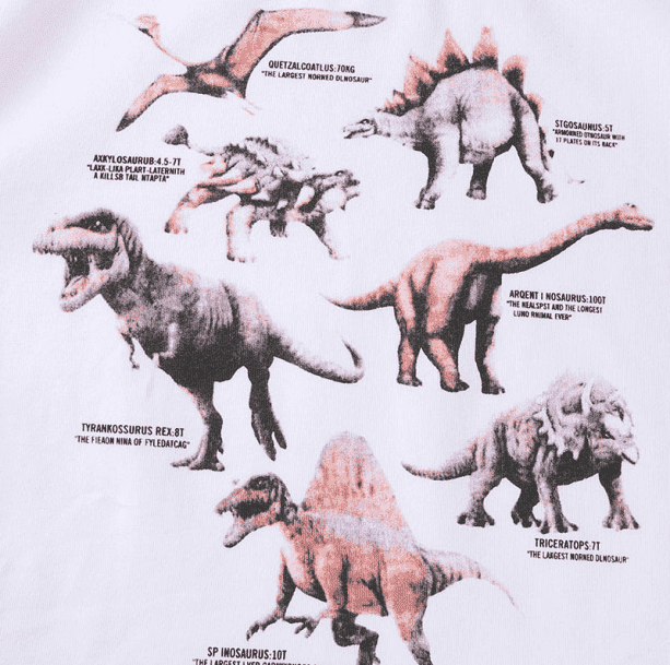 Age Of Dinosaurs Tee - All Things Rainbow