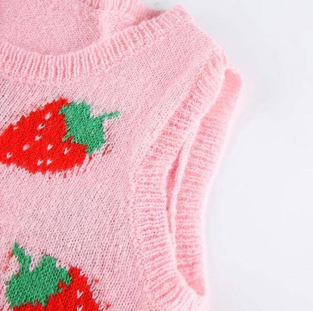 Strawberry Sleeveless Sweater - All Things Rainbow